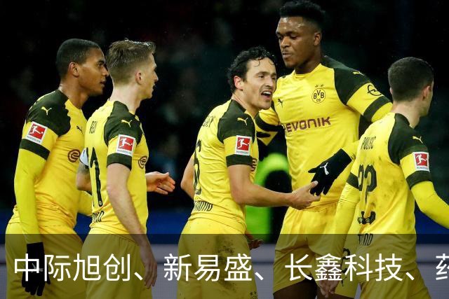 中际旭创、新易盛、长鑫科技、药明康德集体被增持，机构：当前A股不宜过度悲观