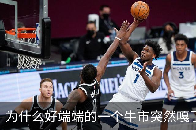 为什么好端端的一个牛市突然嘎了？走成这样子？