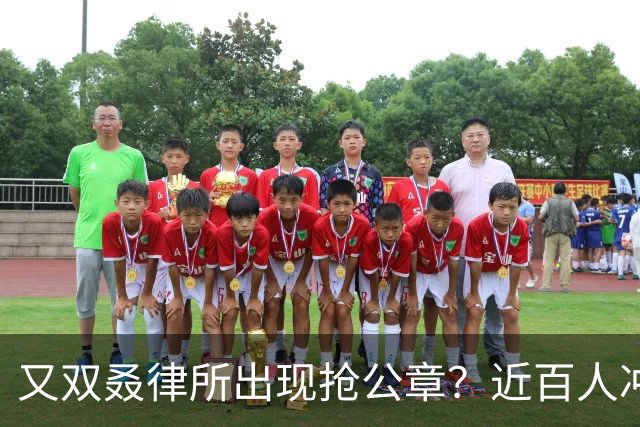 又双叒律所出现抢公章？近百人冲击行政大厅