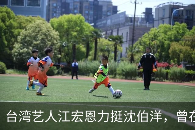 台湾艺人江宏恩力挺沈伯洋，曾在大陆发展多年，主演过《我的丑娘》