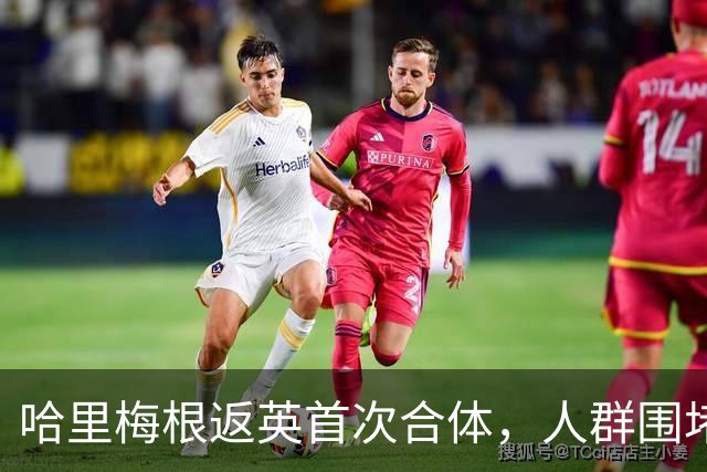 哈里梅根返英首次合体，人群围堵座驾警方被迫出手