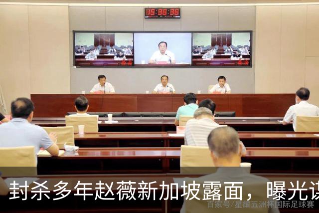 封杀多年赵薇新加坡露面，曝光谋生手段，网友：想不到她会干这个