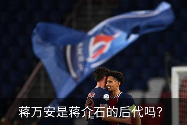 蒋万安是蒋介石的后代吗？