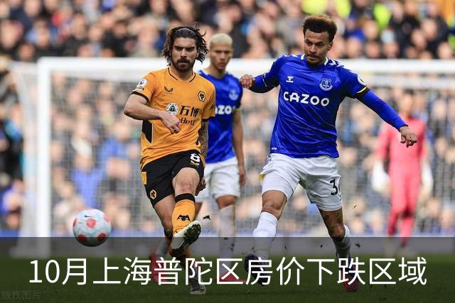 10月上海普陀区房价下跌区域